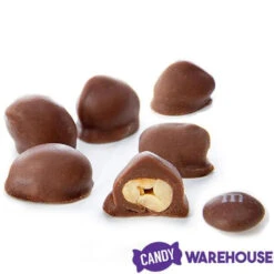 Brach's Double Dippers Milk Chocolate Covered Peanuts: 12-Ounce Bag -Sweet Candy Planet brach s double dippers milk chocolate covered peanuts 12 ounce bag candy warehouse 3 6c5445c4 b288 498f b1a5 4083f6aed8f9