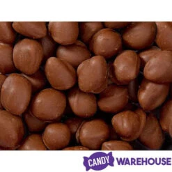 Brach's Double Dippers Milk Chocolate Covered Peanuts: 12-Ounce Bag -Sweet Candy Planet brach s double dippers milk chocolate covered peanuts 12 ounce bag candy warehouse 4 7a6bd210 22d2 46b8 86dc 4fa28e85147b