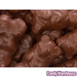 Chocolate Covered Jumbo Gummy Bears: 5LB Box -Sweet Candy Planet chocolate covered jumbo gummy bears 5lb box candy warehouse 3