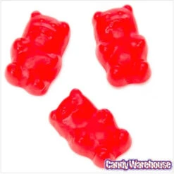 Cinnamon Bears Candy: 16-Ounce Bag -Sweet Candy Planet cinnamon bears candy 16 ounce bag candy warehouse 3