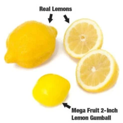 Dubble Bubble Mega Fruit 2-Inch Gumballs: 138-Piece Case -Sweet Candy Planet dubble bubble mega fruit 2 inch gumballs 138 piece case candy warehouse 4 1db9c377 69f2 4258 8701 0023d62dfae6