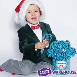 Jelly Belly Candy Canes - Blueberry: 80-Piece Bucket -Sweet Candy Planet jelly belly candy canes blueberry 80 piece bucket candy warehouse 3