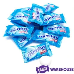 Mentos Mint Candy Single Packs: 385-Piece Bag -Sweet Candy Planet mentos mint candy single packs 385 piece bag candy warehouse 4