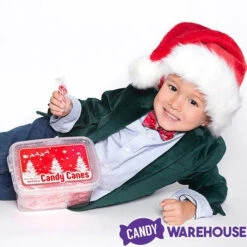Mini Candy Canes - Red And White: 100-Piece Tub -Sweet Candy Planet mini candy canes red and white 100 piece tub candy warehouse 3