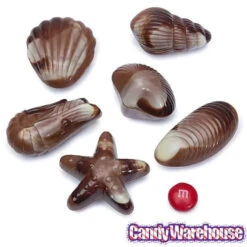Nautilus Belgian Chocolate Seashells: 18-Piece Box -Sweet Candy Planet nautilus belgian chocolate seashells 18 piece box candy warehouse 4