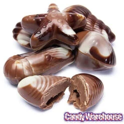 Nautilus Belgian Chocolate Seashells: 18-Piece Box -Sweet Candy Planet nautilus belgian chocolate seashells 18 piece box candy warehouse 5