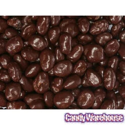 Raisinets Milk Chocolate Raisins Candy: 8-Ounce Bag -Sweet Candy Planet raisinets milk chocolate raisins candy 8 ounce bag candy warehouse 4 e8189a75 ec0b 4767 a160 01f21970455a