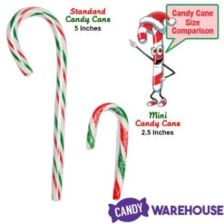 Red, White, And Green Peppermint Mini Candy Canes: 200-Piece Tub -Sweet Candy Planet red white and green peppermint mini candy canes 200 piece tub candy warehouse 3 20088298 14eb 412f 9ac7 e202b70d9995