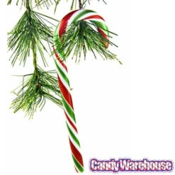 Red - White - Green Peppermint Candy Canes: 18-Piece Box -Sweet Candy Planet red white green peppermint candy canes 18 piece box candy warehouse 3